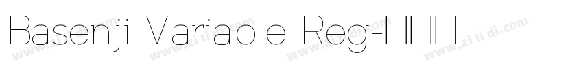 Basenji Variable Reg字体转换 Basenji Variable Reg字体转换
